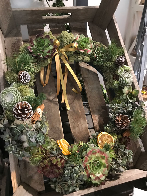 DIY Christmas wreath succulents