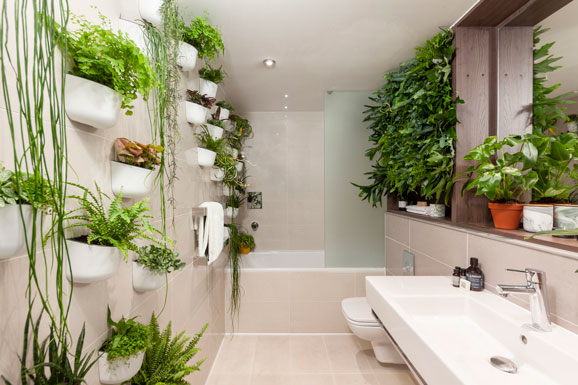 botanical hotel into your home