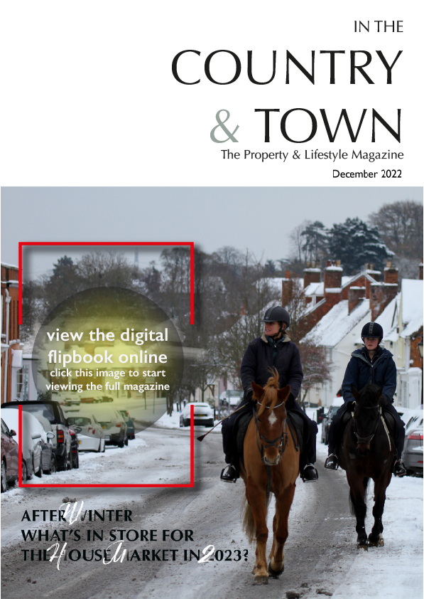 Magazine photo image McCarthy Holden