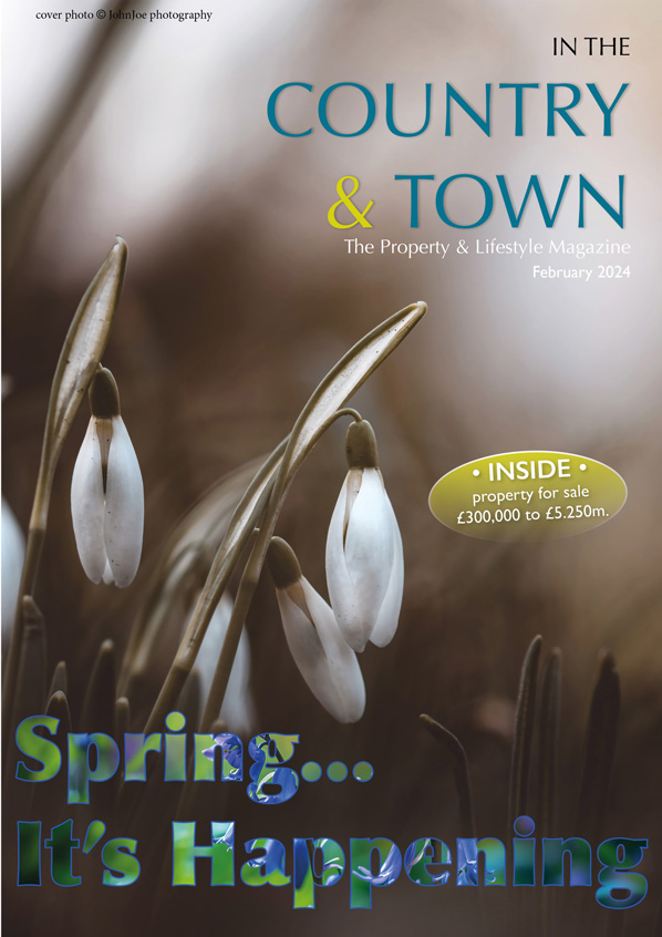 Magazine Icon McCarthy Holden