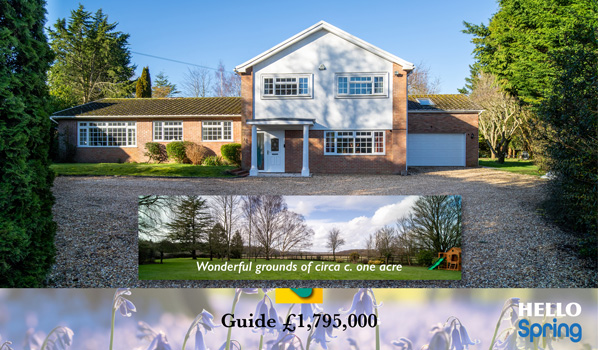 Magazine Icon McCarthy Holden