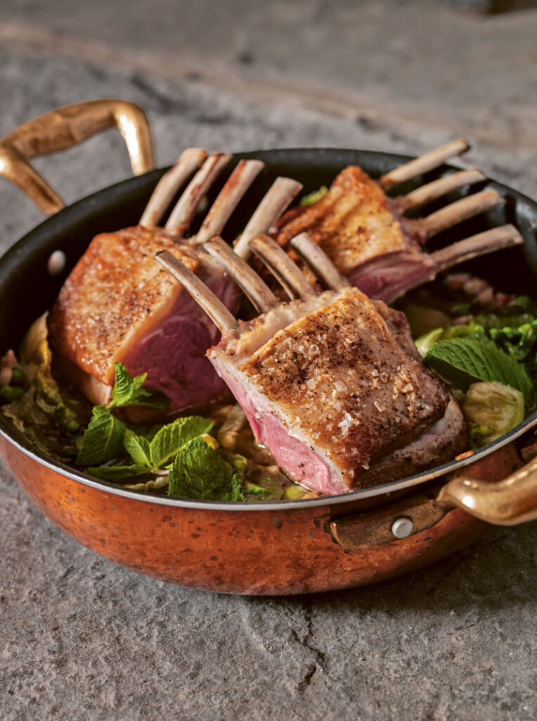 Saturday Kitchen’s Matt Tebbutt editorial at McCarthy Holden