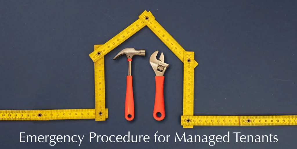 Managed tenants