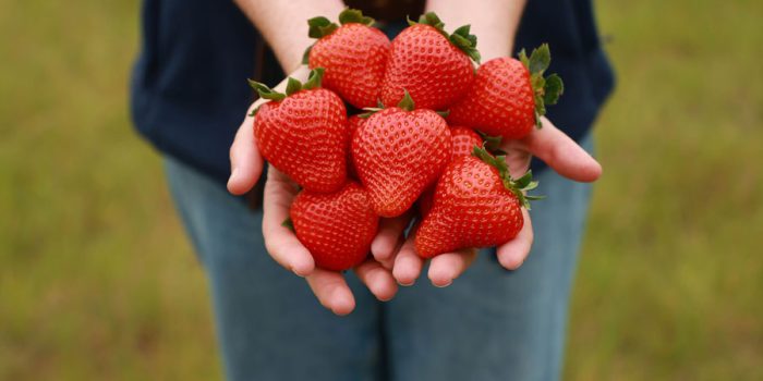 01JWT5FBDWMGE5JYNM5VAZQDXR