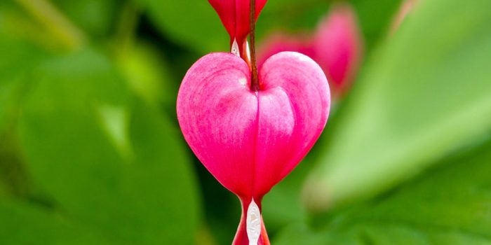 01KFZ3J02SHP7HTZP3CVVT026Z