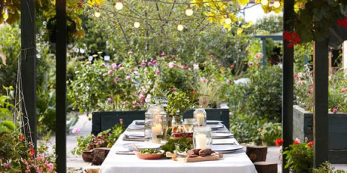 stylish garden upgrades