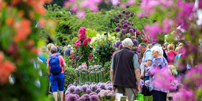 2020 garden shows and festivals