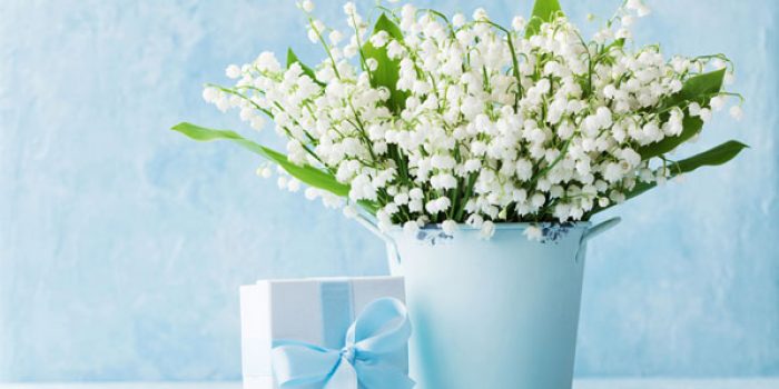 mothers day gardening gifts
