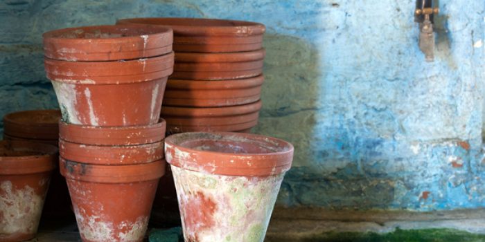 Gardening McCarthy Holden