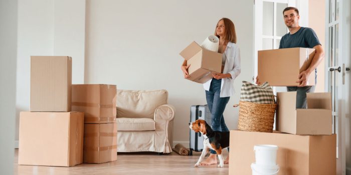 McCarthy-Holden-Landllords-Tenants-Pets-AdobeStock_675847344