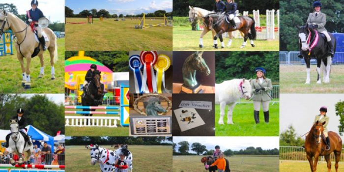 SWALLOWFIEDL-HORSES-Featured-Image-1038x576