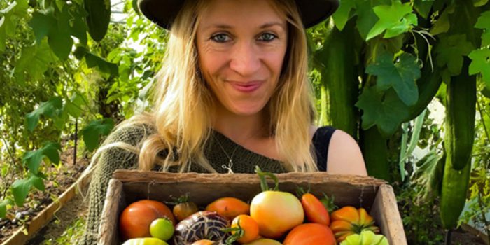 McCarthy Holden garden plants