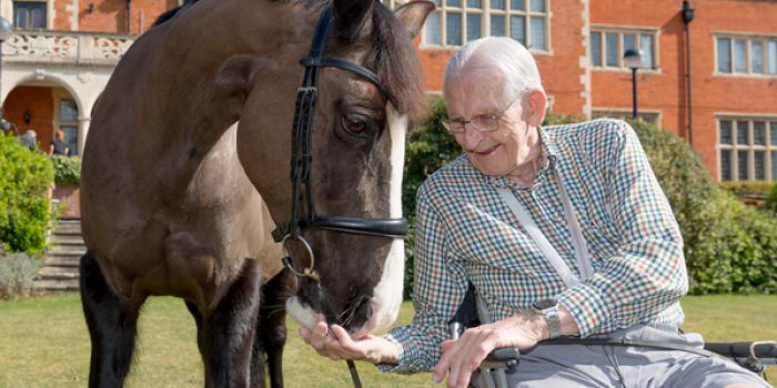 Photo horse surprise mccarthy holden
